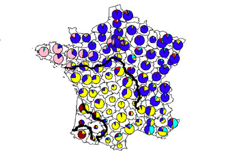 genetic map of France