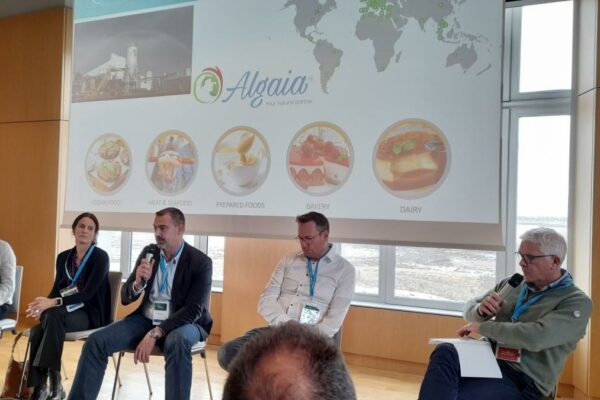 Algae Research and Growing Industry in Brittany