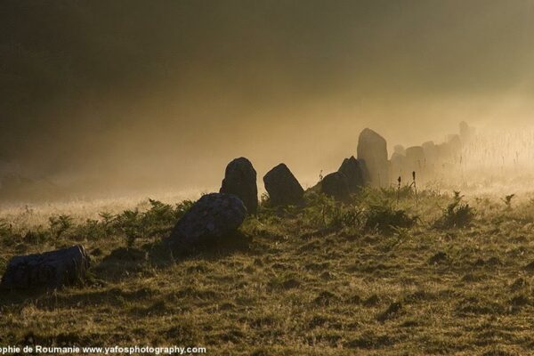 Prehistoric standing stones in Brittany destroyed during construction of DIY store